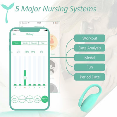 Main image for product index 5: Смарт-тренажер Кегеля Magic Motion Kegel Rejuve