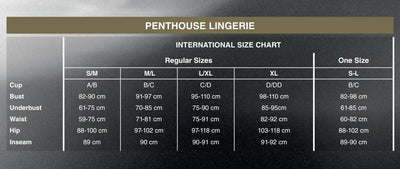 Main image for product index 8: Боди Penthouse All The Way