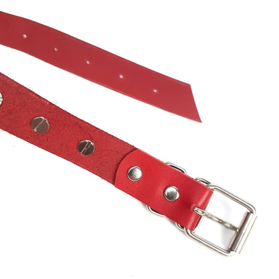 Main image for product index 4: Чокер Серце з великими шипами Art of Sex - Crystal