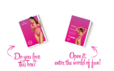 Main image for product index 7: Сетчатый бодистокинг Obsessive B121 teddy