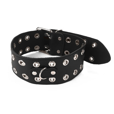 Main image for product index 4: Ошейник Art of Sex - Tessa