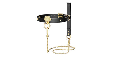 Main image for product index 1: Роскошный ошейник с поводком Zalo Collar & Leash Set