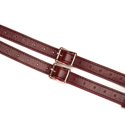 Main image for product index 7: Трусики для страпона Liebe Seele Wine Red Strap on Harness