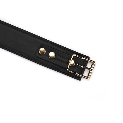 Main image for product index 6: Нашийник з повідцем Liebe Seele Black Organosilicon Collar with Leash