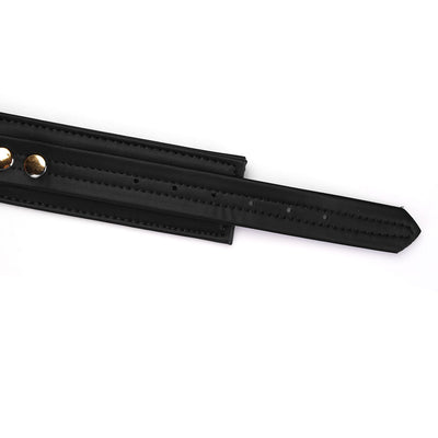 Main image for product index 5: Нашийник з повідцем Liebe Seele Black Organosilicon Collar with Leash