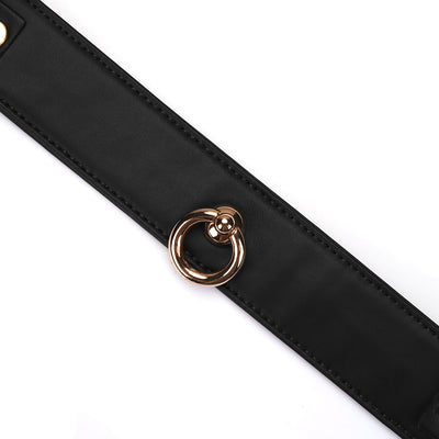 Main image for product index 3: Нашийник з повідцем Liebe Seele Black Organosilicon Collar with Leash