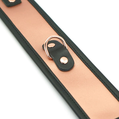 Main image for product index 7: Широкий ошейник с поводком Liebe Seele Rose Gold Memory Collar with Leash
