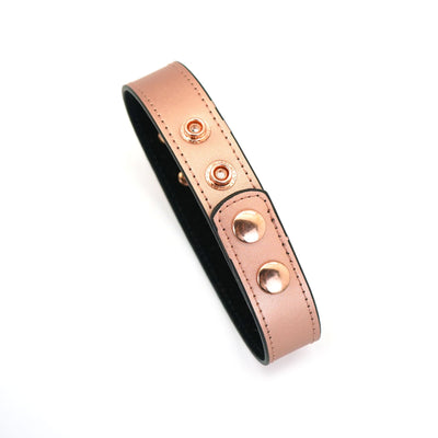 Main image for product index 11: Ошейник с зажимами для сосков Liebe Seele Rose Gold Memory Collar with Nipple Clamps