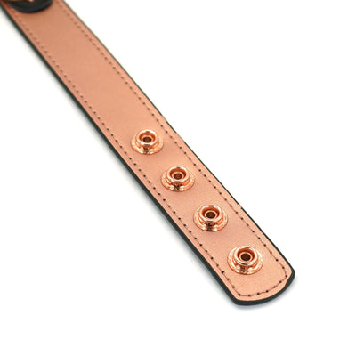 Main image for product index 4: Ошейник с зажимами для сосков Liebe Seele Rose Gold Memory Collar with Nipple Clamps