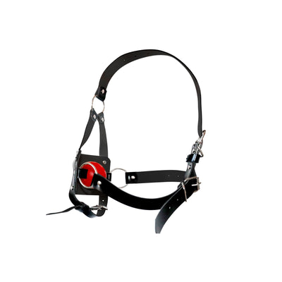 Main image for product index 3: Кляп-маска с пластиковым шаром Art of Sex - Slave