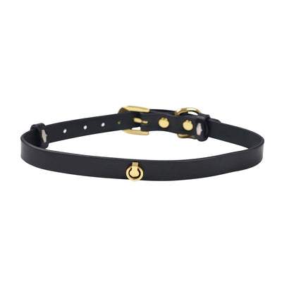 Main image for product index 7: Сумка LOCKINK Detachable JK Bag For Sex Toy Storage & Bondage Play