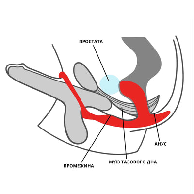 Main image for product index 6: Анальна пробка з ерекційним кільцем Fun Factory BOOTIE RING