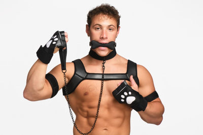 Набор BDSM щенка Master Series Luxury Pup Arsenal Set - фото 15