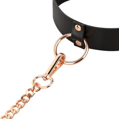 Main image for product index 6: Нашийник з повідцем Rosy Gold - Collar with Leash