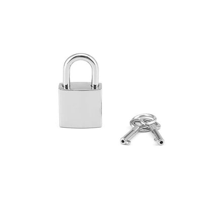 Замочек Liebe Seele Regular Padlock (2 шт) - фото 1