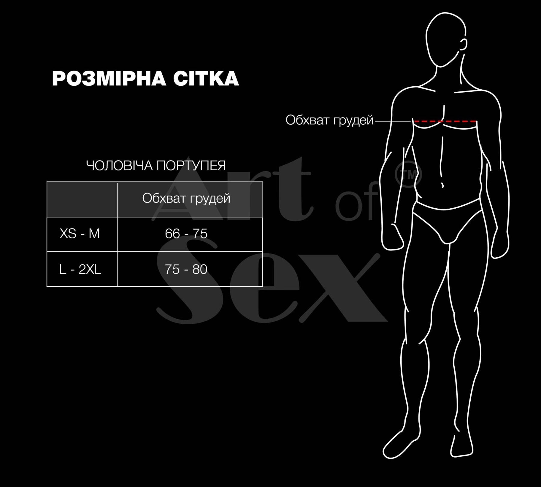 Мужская портупея Art of Sex - Spartacus - превью 24