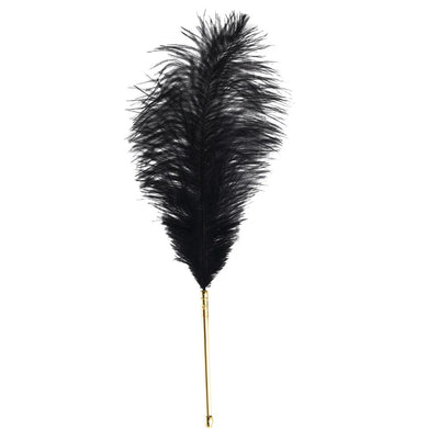 Main image for product index 3: Лоскітка LOCKINK SEVANDA Natural Peacock Flirting Feather Tickler, пір'я павліна