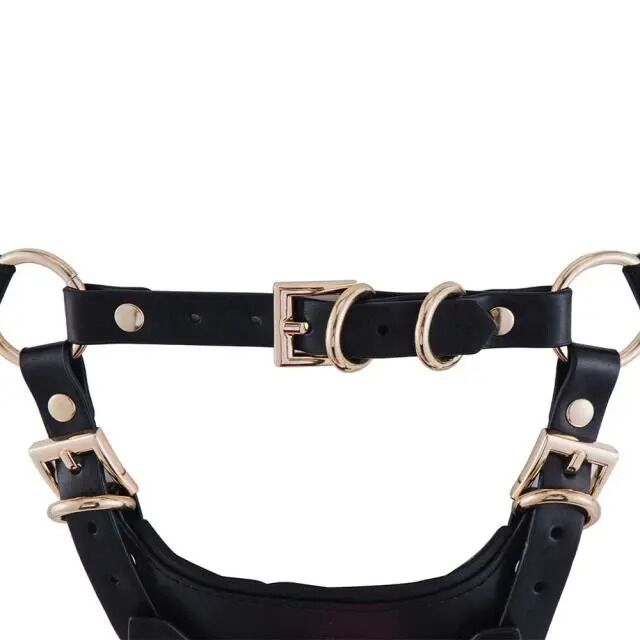 Thumb image for product index 5: Сбруя со страпоном LOCKINK SEVANDA Queen Sheba Set