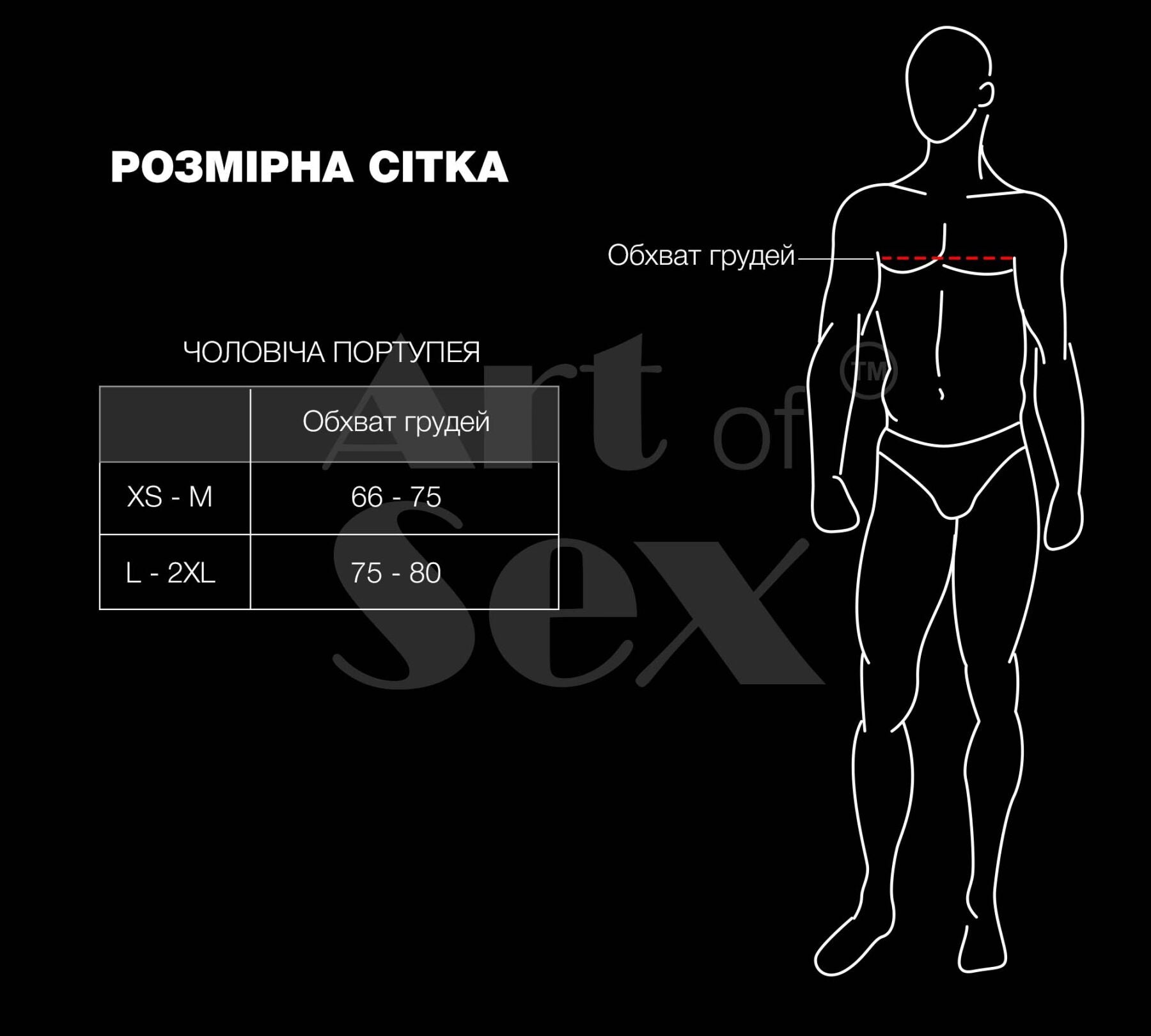 Мужская портупея Art of Sex - Spartacus - превью 8
